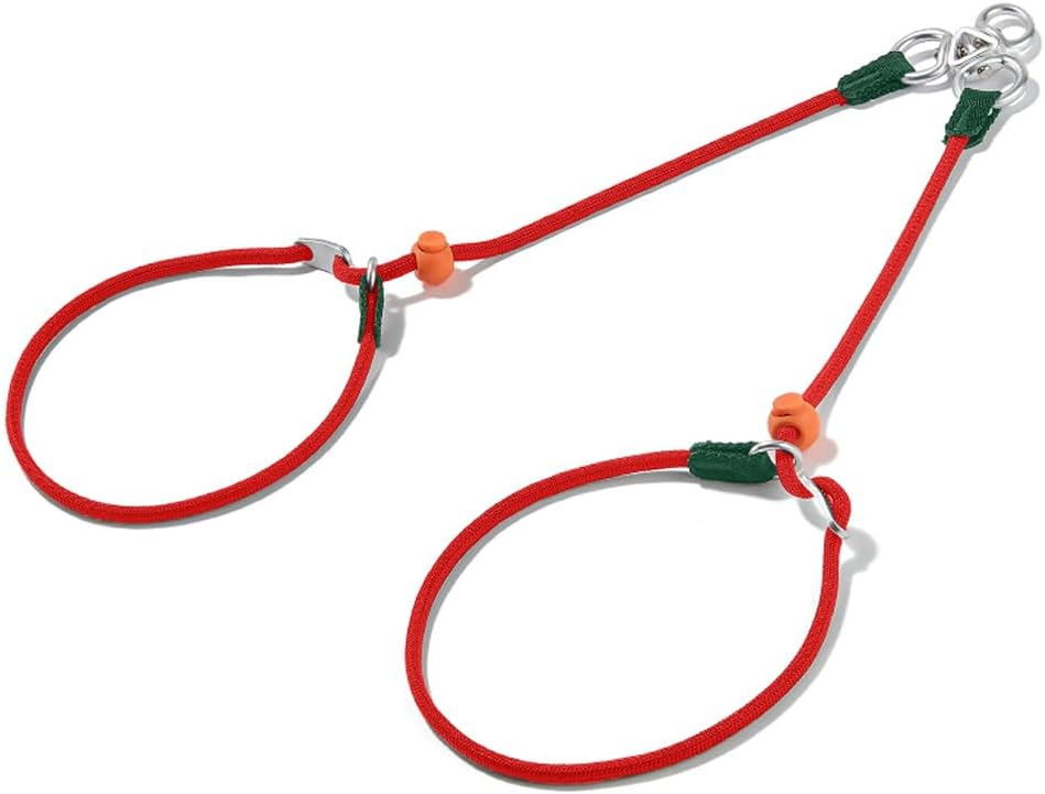 Howgo Slip Lead Leash 2 Dogs, Tangl...