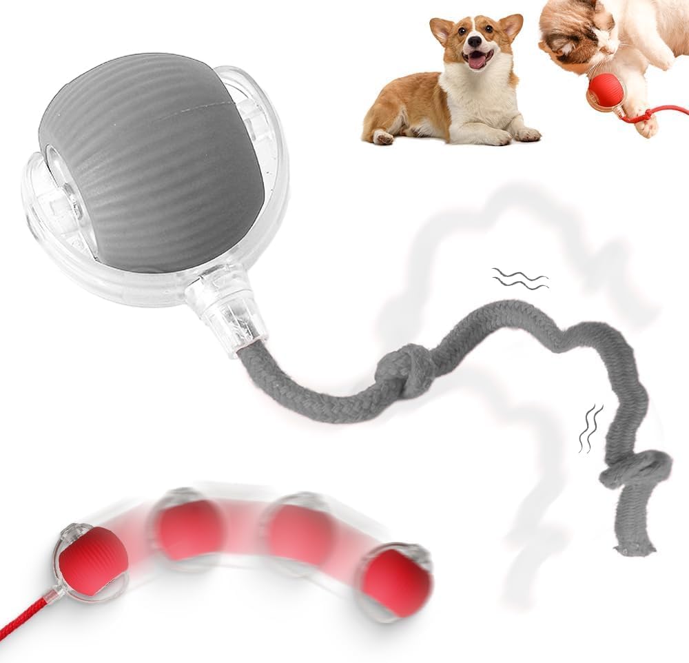 Interactive Rolling Dog Ball, 2027 New Self-Rolling Dog Toy and Interactive Cat Toy, Automatic Moving Pet Ball, 360° Intelligent Automatic Rolling Ball Toy, Electric Dog Ball/Cat Toy (Gray)