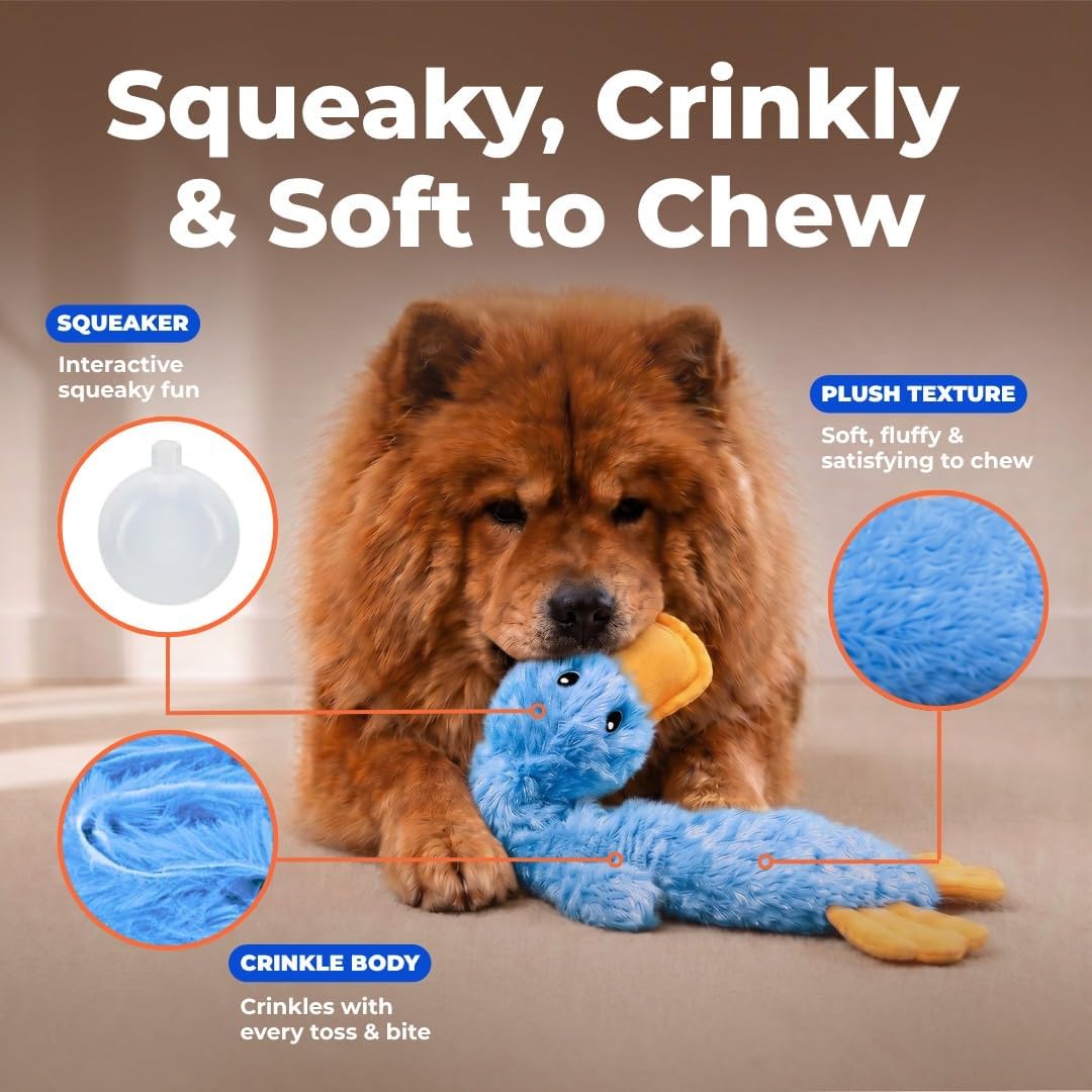 Best Pet Supplies Interactive Squeaky Dog Toy - Crinkle Duck, Blue - Image 3