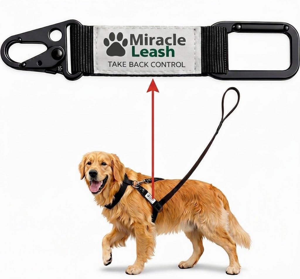 No Pull Dog Harness Alternative –...