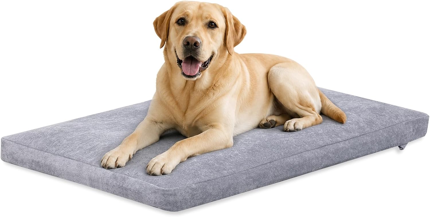 Dual-Layer Memory Foam Dog Bed for ...