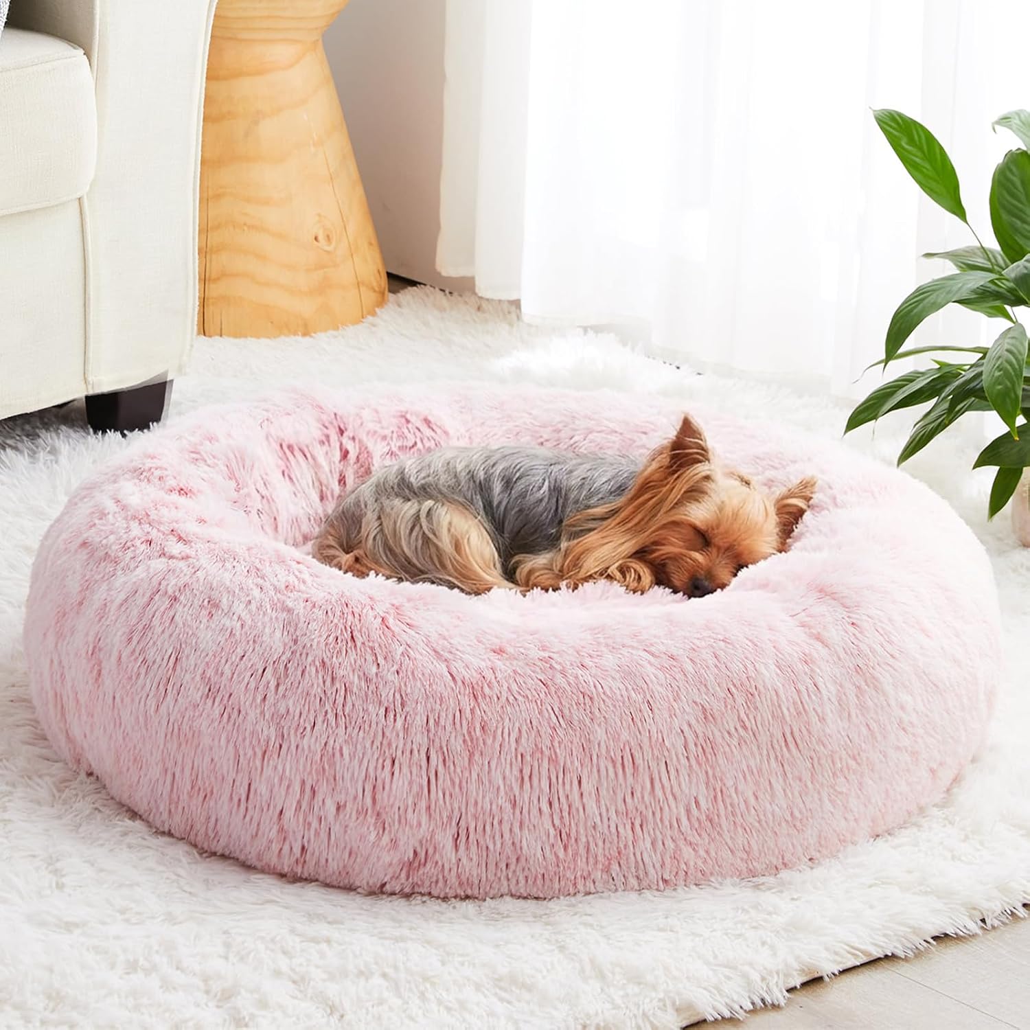 WNPETHOME Small Pink Round Calming ...
