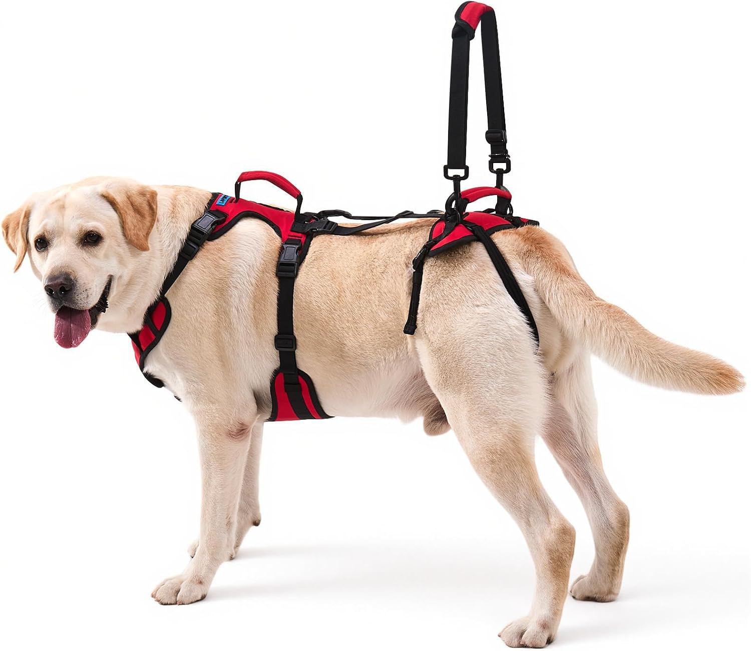 Dog Lift Harness for Large Dogs, Fu...