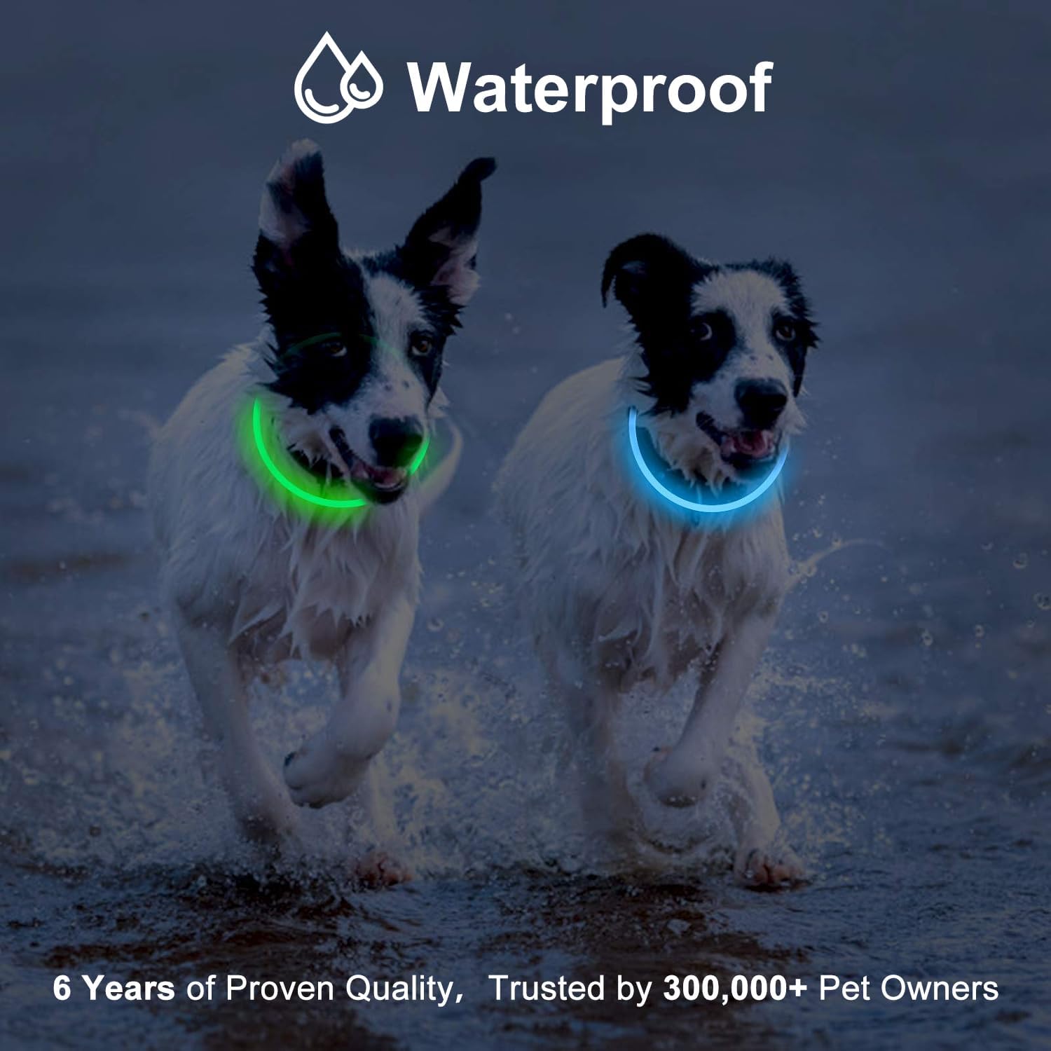 Novkin 2-Pack LED Dog Collar, Light Up Dog Collars,Rechargeable Dog Lights for Night Walking,Universal, Reusable Safety Necklace for Small Medium Large Dogs Green&Blue - Image 6