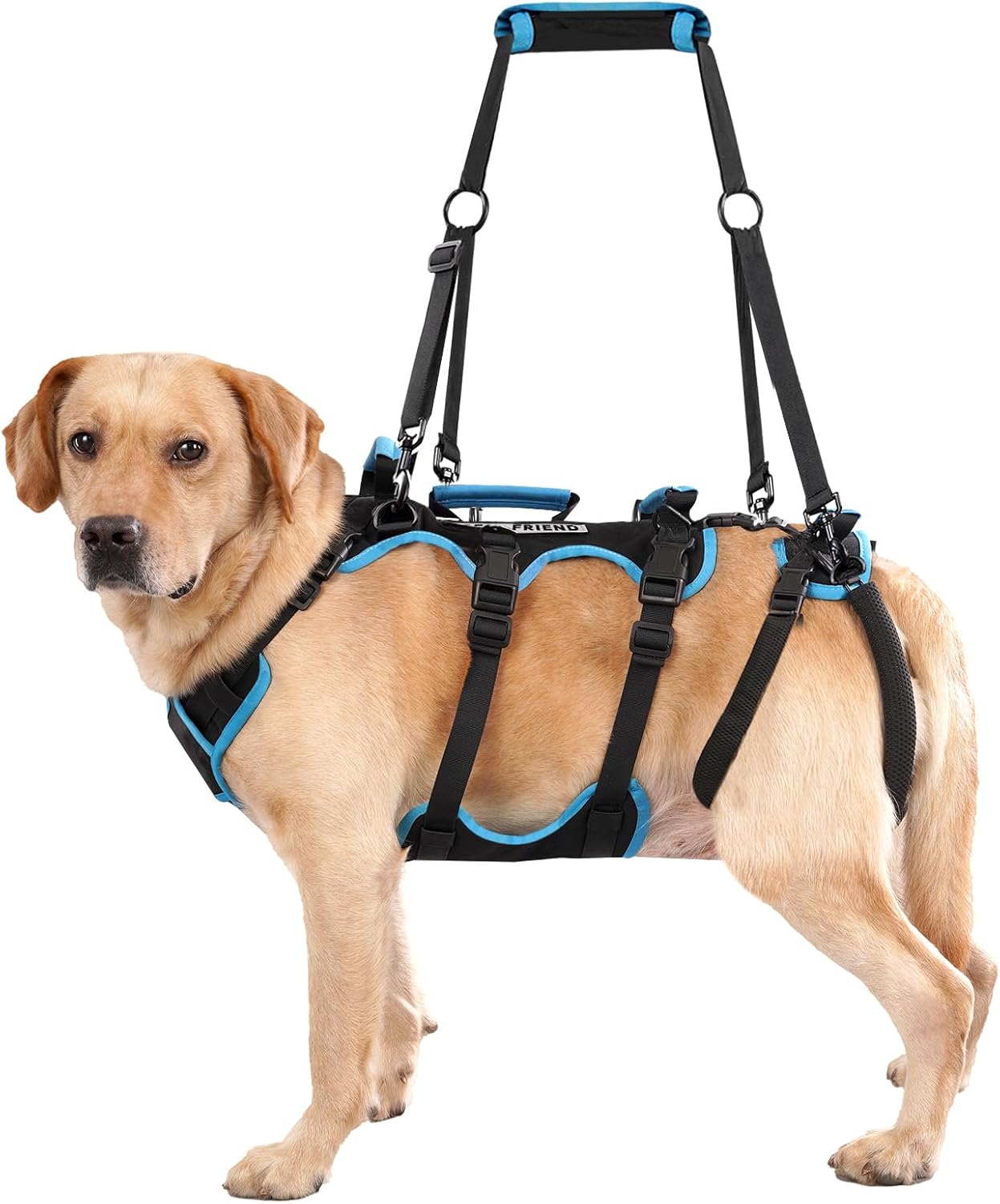 Dog Lift Harness for Large Male Dog...