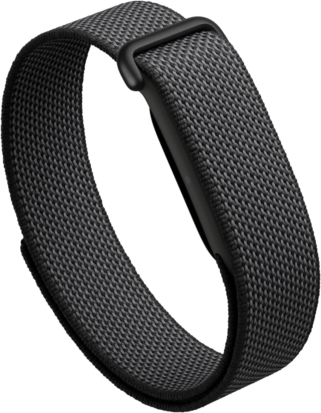 Fitbit Google Air – Screenles...