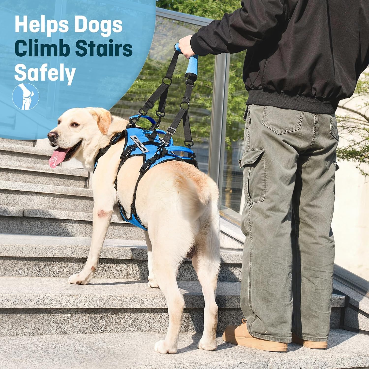 Dog Lift Harness for Large Dogs, Full Body Support Sling with 3 Handles and Shoulder Strap, Carrying Vest for Senior Dogs with Arthritis or Joint Injuries, Stairs Assistance, Blue, X-Large - Image 3