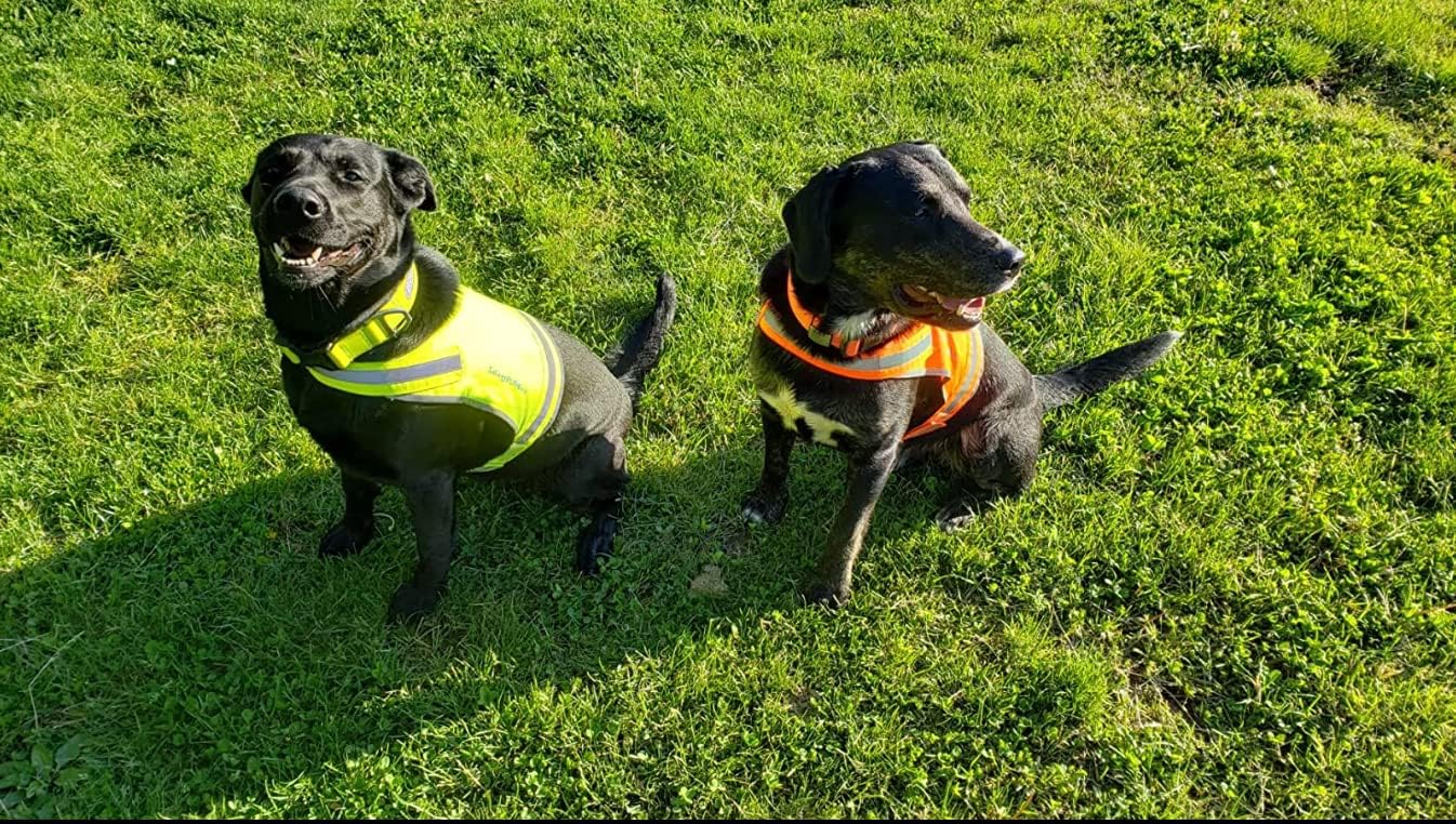 SafetyPUP XD Lite Dog Vest. Coverage to Mid Back. Reflective Hi Visibility Fluorescent Yellow Fabric Helps to Keep Them in Sight and Safe On and Off Leash. - Image 9