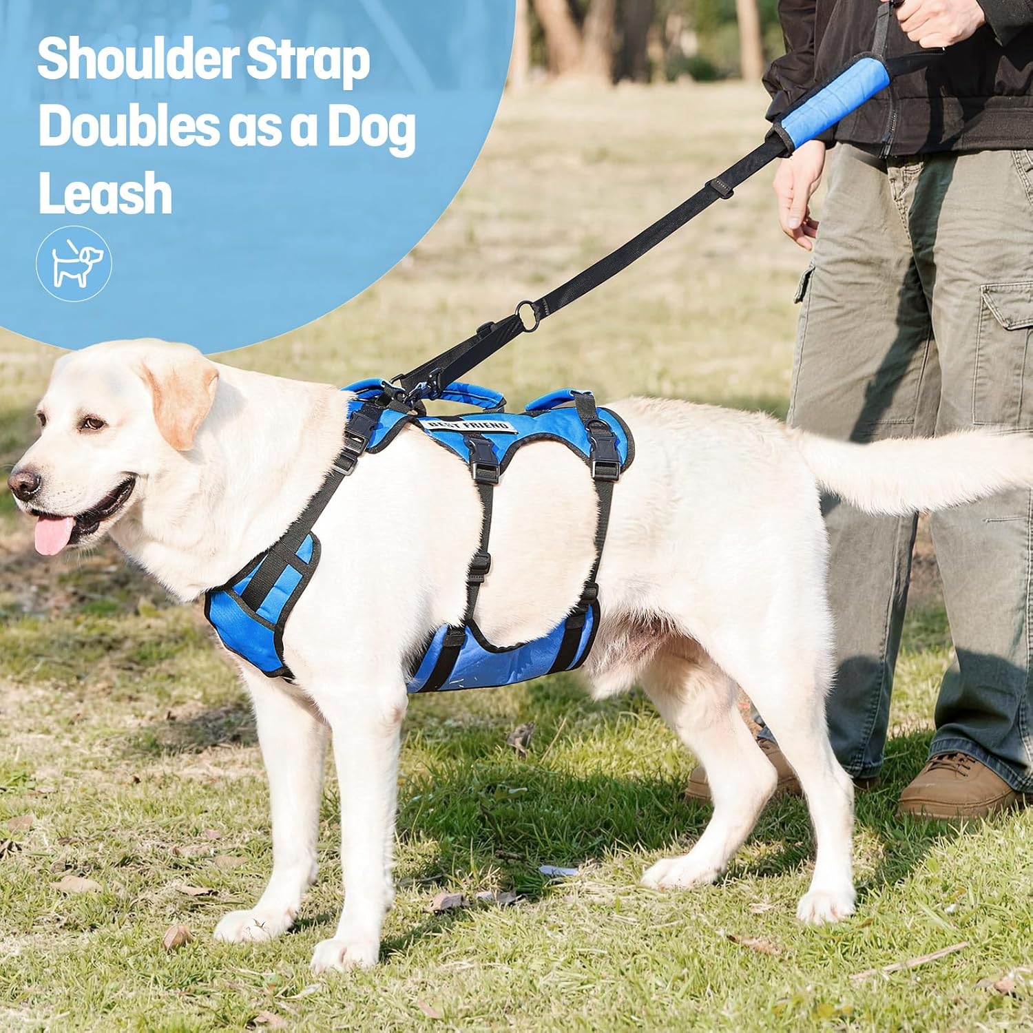 Dog Lift Harness for Large Dogs, Full Body Support Sling with 3 Handles and Shoulder Strap, Carrying Vest for Senior Dogs with Arthritis or Joint Injuries, Stairs Assistance, Blue, X-Large - Image 6