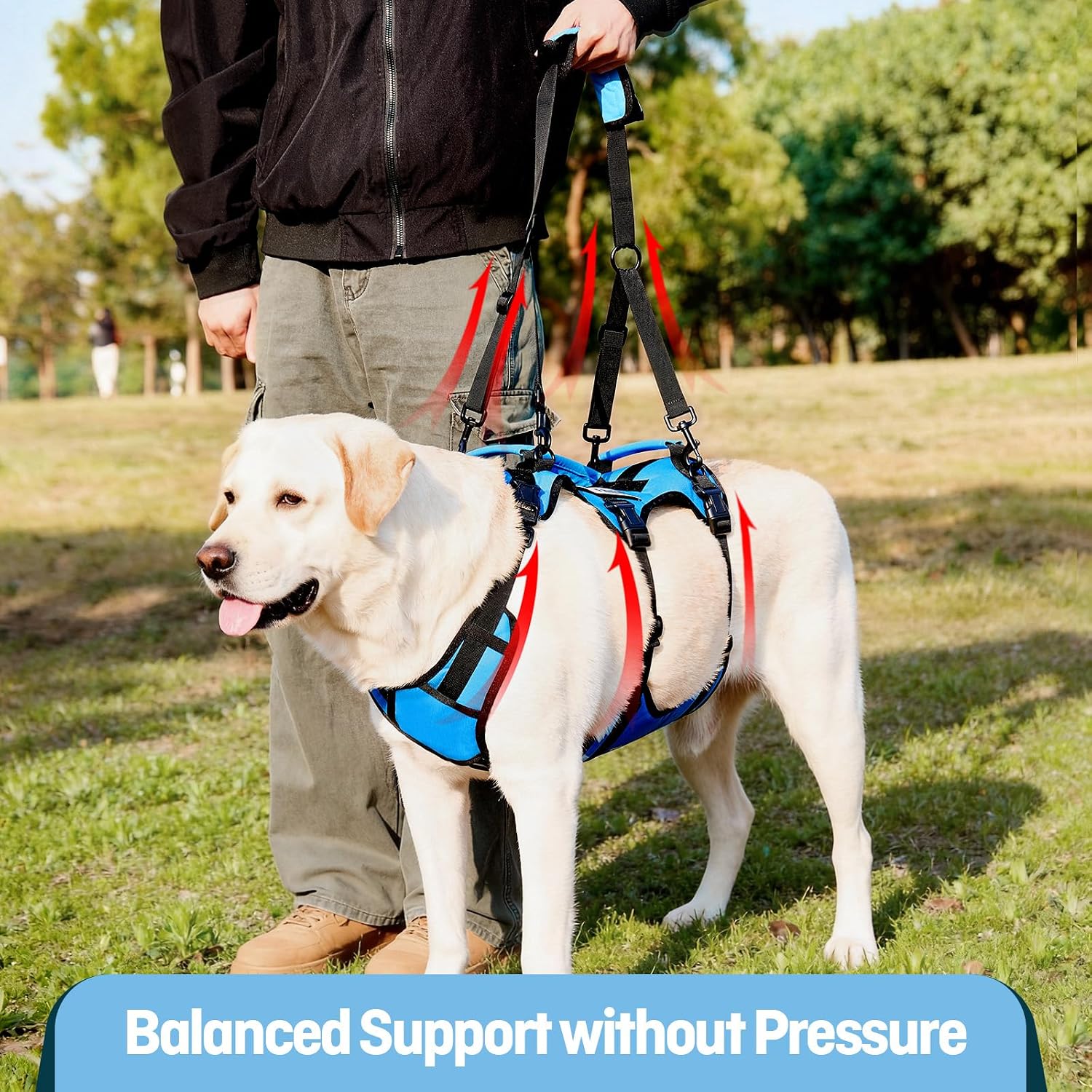 Dog Lift Harness for Large Dogs, Full Body Support Sling with 3 Handles and Shoulder Strap, Carrying Vest for Senior Dogs with Arthritis or Joint Injuries, Stairs Assistance, Blue, X-Large - Image 2