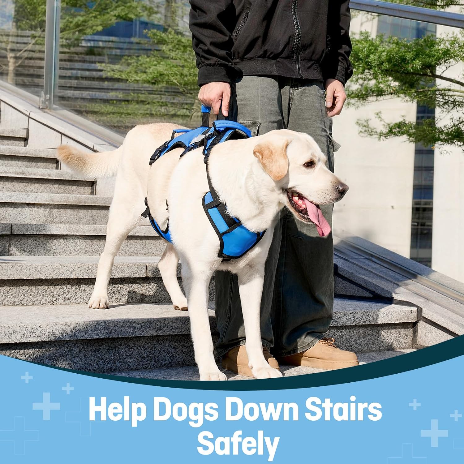 Dog Lift Harness for Large Dogs, Full Body Support Sling with 3 Handles and Shoulder Strap, Carrying Vest for Senior Dogs with Arthritis or Joint Injuries, Stairs Assistance, Blue, X-Large - Image 5