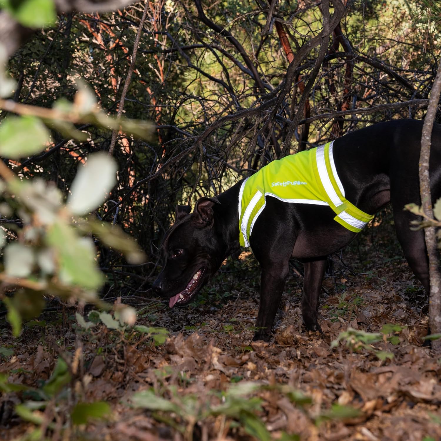 SafetyPUP XD Lite Dog Vest. Coverage to Mid Back. Reflective Hi Visibility Fluorescent Yellow Fabric Helps to Keep Them in Sight and Safe On and Off Leash. - Image 8