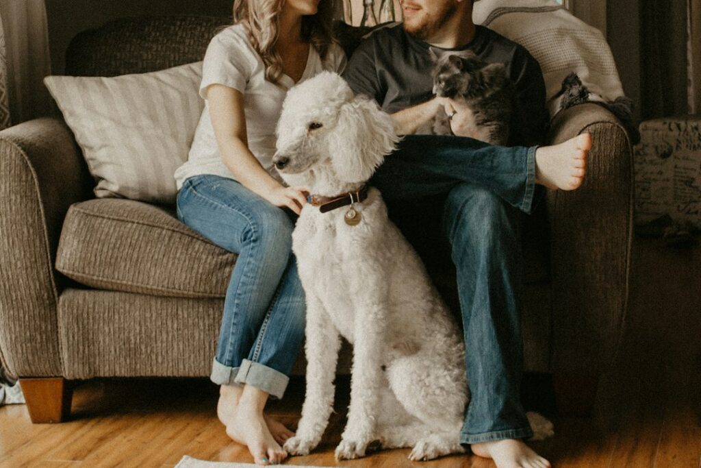 How to Keep Your Home Cleaner With Pets Around