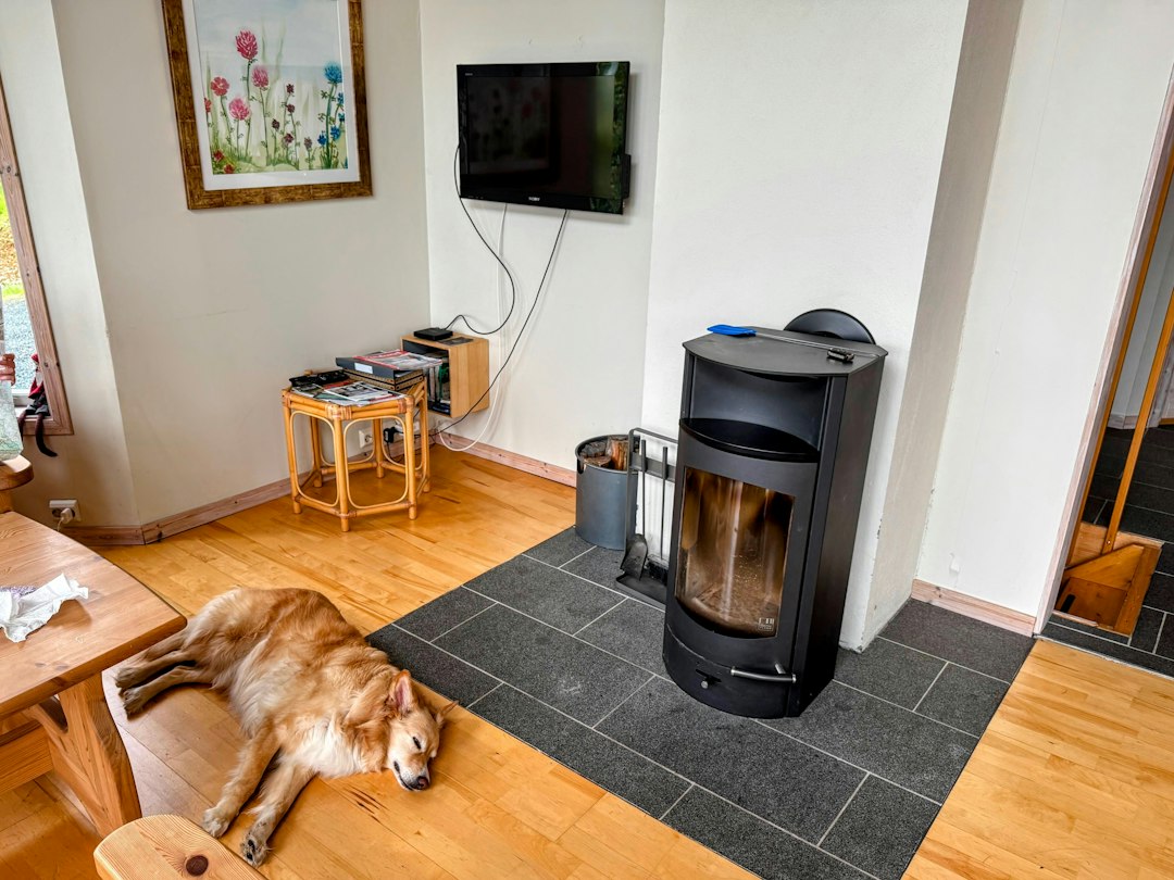 A golden dog sleeping on a wooden floor beside a black wood stove