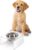 DBL2002A Keaton 5″ Small/Medium Modern Acrylic Rectangular Elevated Pet Feeder with 20oz 1-Stainless Steel Bowl, Clear/Chrome
